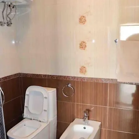 Olive Downtown Apartmán Tirana